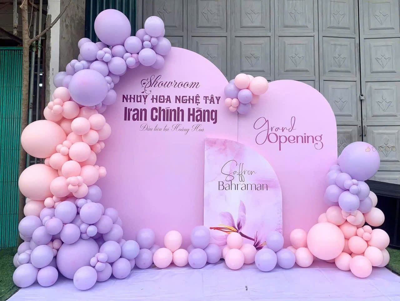 Dự án lễ khai trương